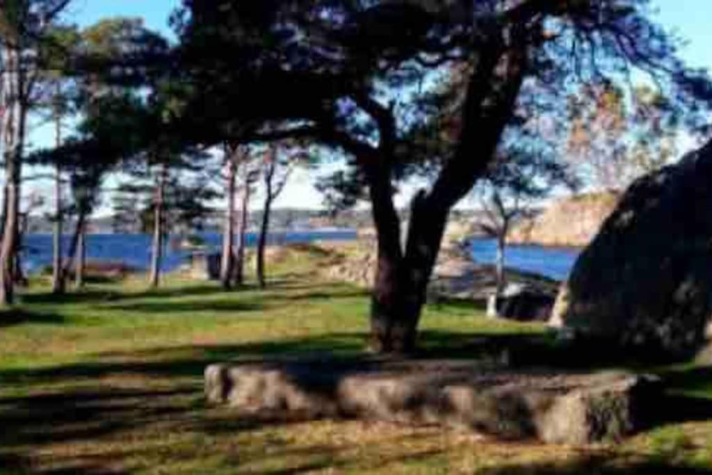 Idyllisk Lite Anneks Med Enestaende Uteplass Larvik Exteriér fotografie